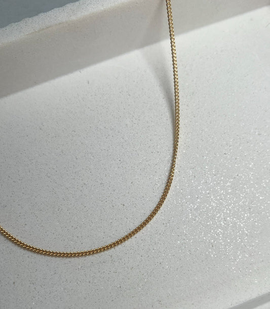 Rylee Dainty Curb Necklace